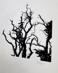 Nature Silhouettes - Snow Lined Branches - Black and White Photograph Print on Matte Paper - Print to Order