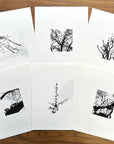 Nature Silhouettes - Snow Lined Branches - Black and White Photograph Print on Matte Paper - Print to Order