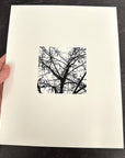 Nature Silhouettes - Berry Branches - Black and White Photograph Print on Matte Paper - Print to Order