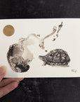 Turtle postcard and sticker