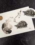 Turtle postcard and sticker