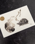 Turtle postcard and sticker