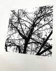 Nature Silhouettes - Berry Branches - Black and White Photograph Print on Matte Paper - Print to Order