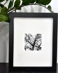 Nature Silhouettes - Berry Branches - Black and White Photograph Print on Matte Paper - Print to Order