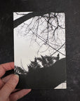 Postcards - Nature Silhouettes - Set of 3 - Ready to Ship