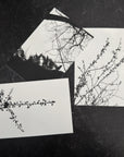 Postcards - Nature Silhouettes - Set of 3 - Ready to Ship