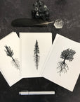 Tree and Root Notecard Set - card size 4.5 x 6.25 - print to order