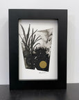 Beauty in the Upside Down 29 - Single Tall Fern - Original Drawing - 4”x6”