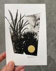 Beauty in the Upside Down 29 - Single Tall Fern - Original Drawing - 4”x6”